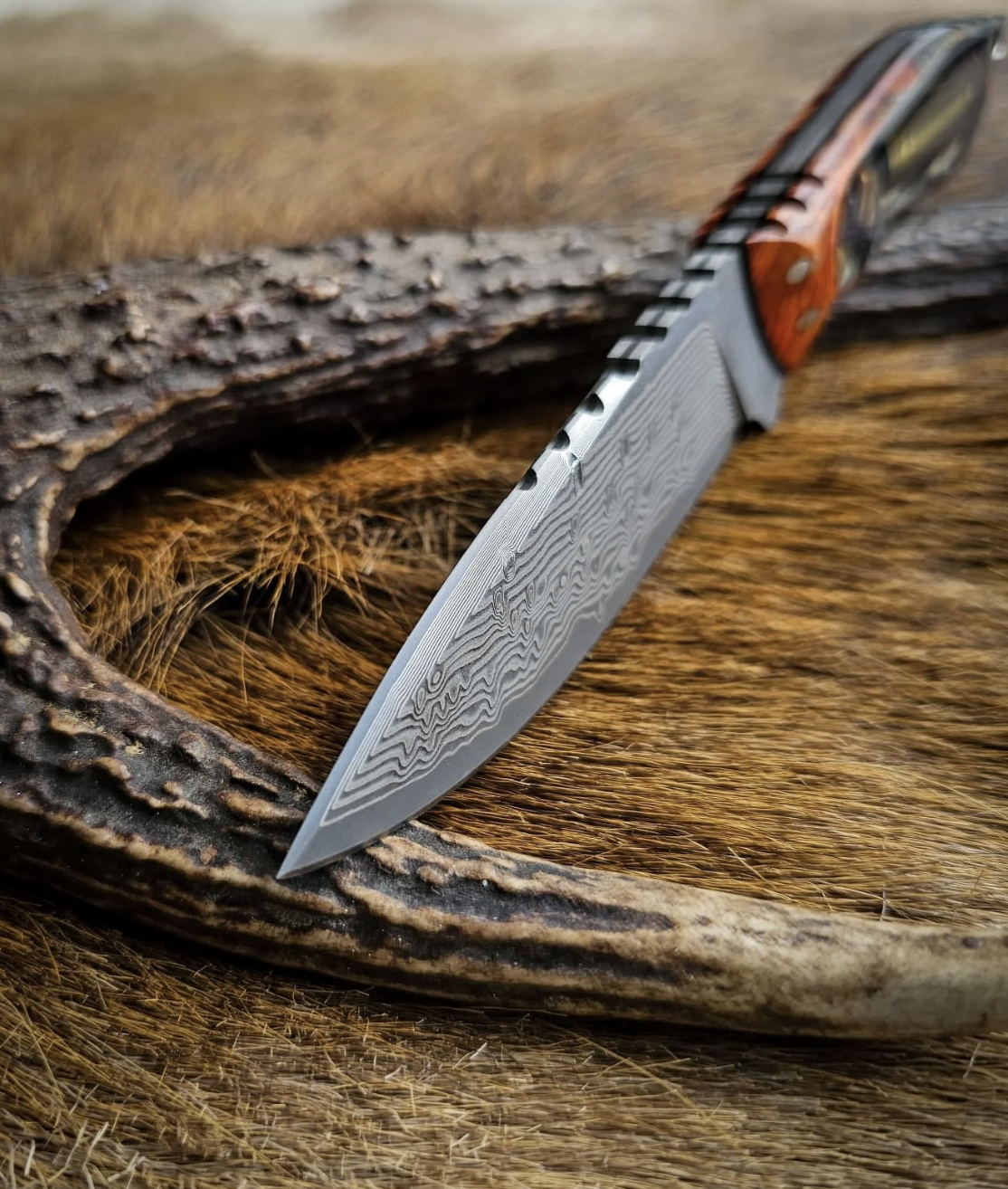 Damascus hunting knife